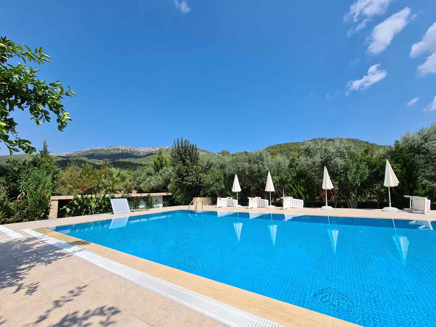 Olympos Olive Garden Pansiyon, Butik Hotel