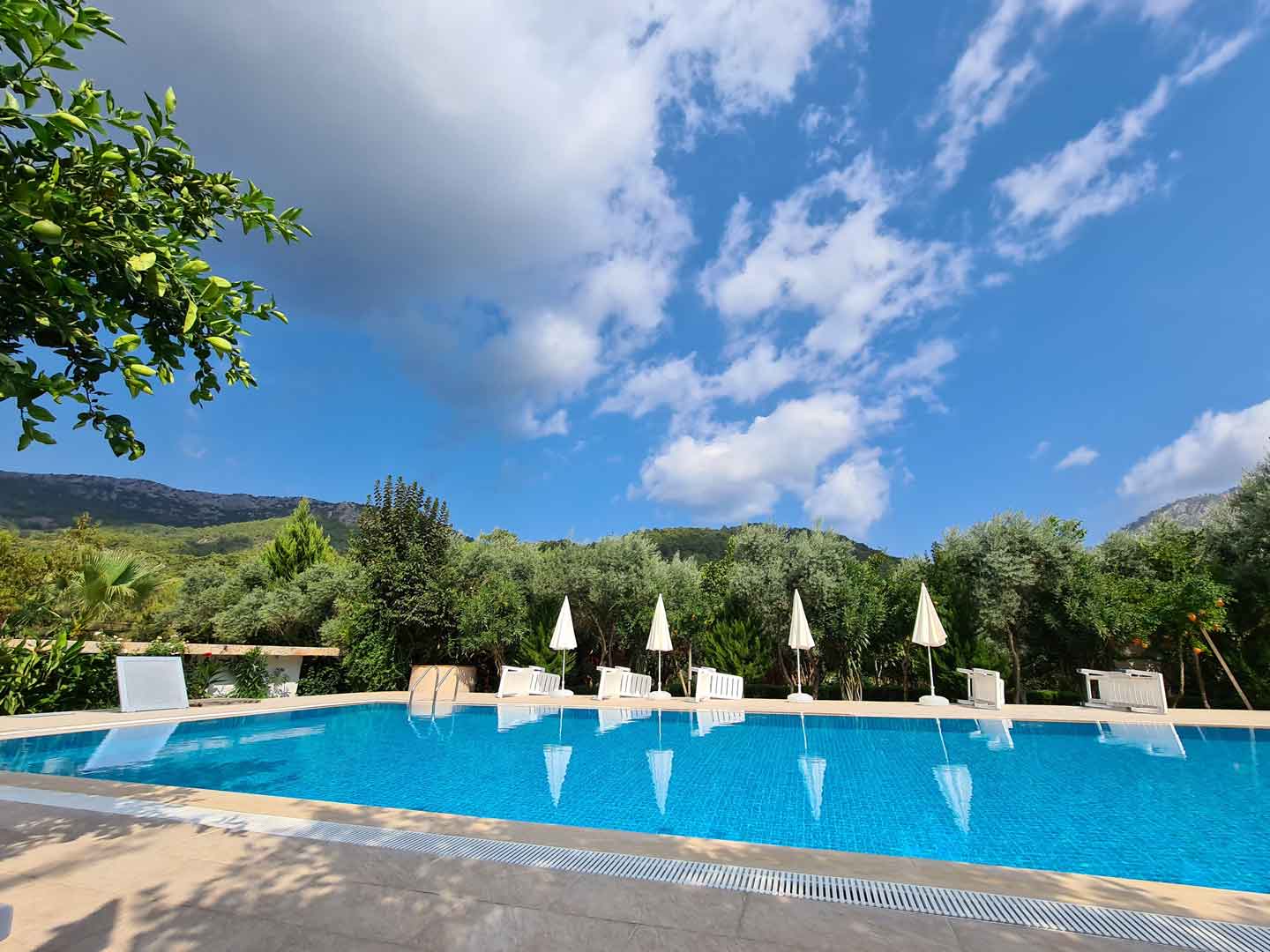Olympos Olive Garden Pansiyon, Butik Hotel