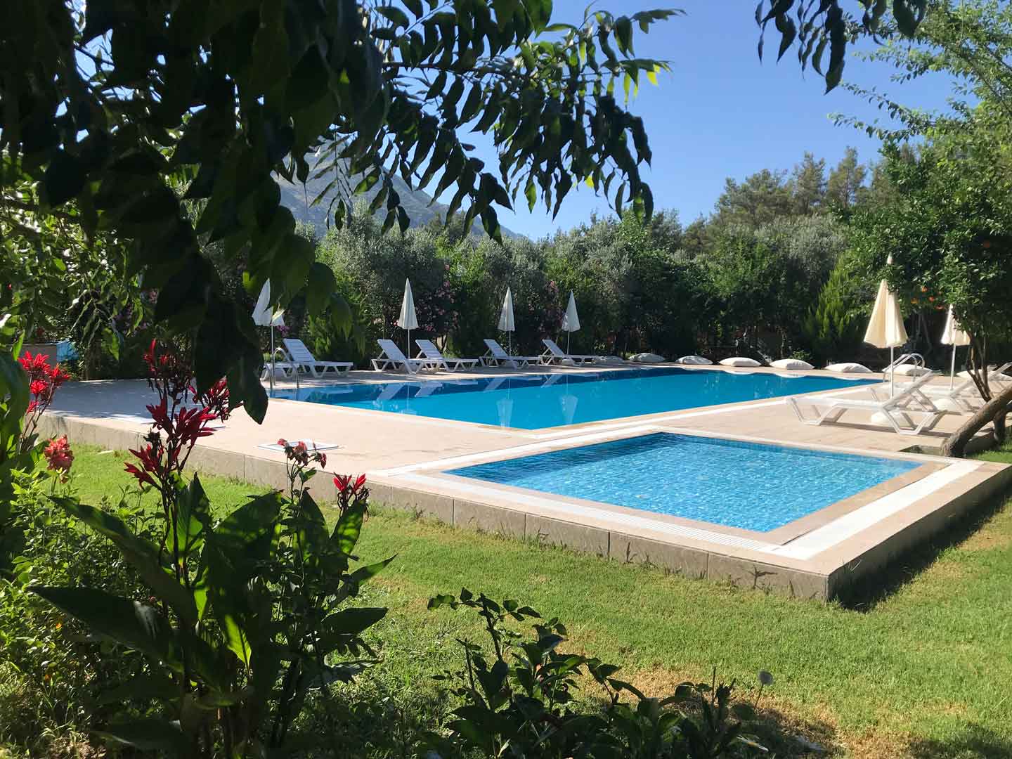 Olympos Olive Garden Pansiyon, Butik Hotel