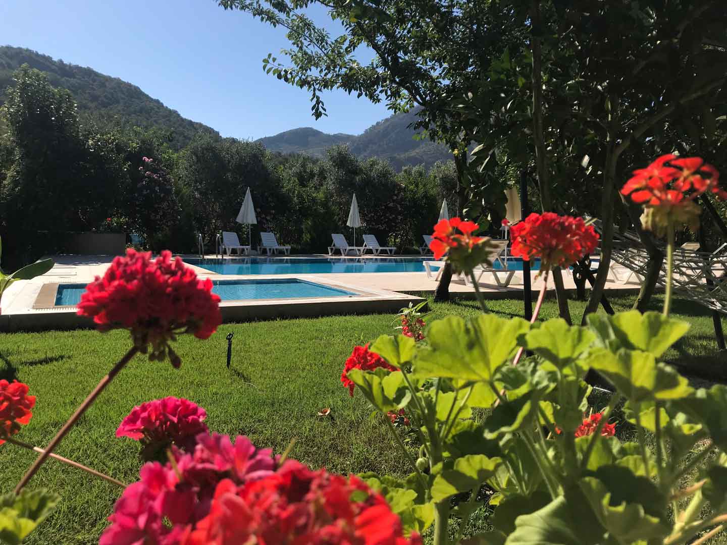 Olympos Olive Garden Pansiyon, Butik Hotel