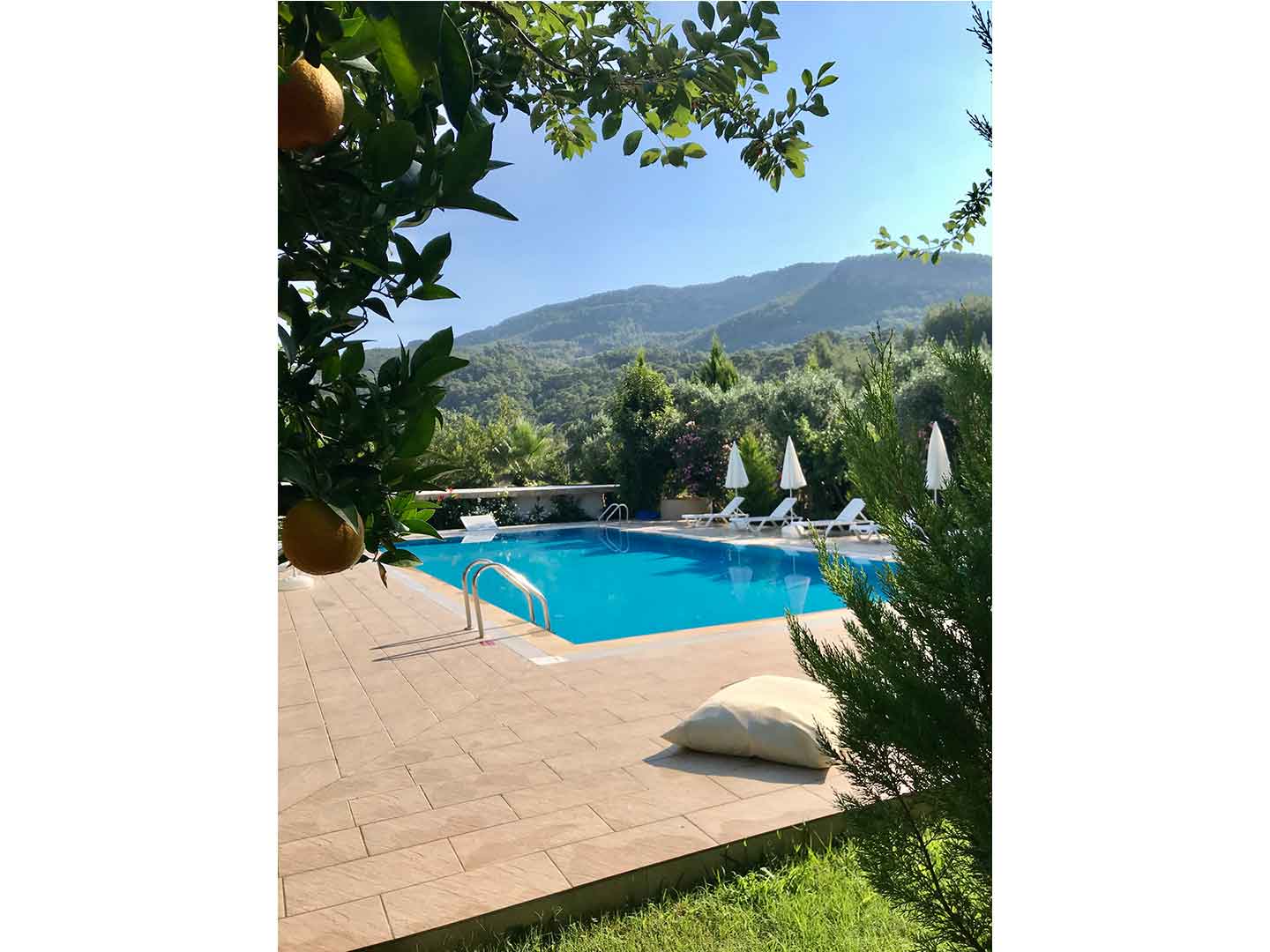 Olympos Olive Garden Pansiyon, Butik Hotel