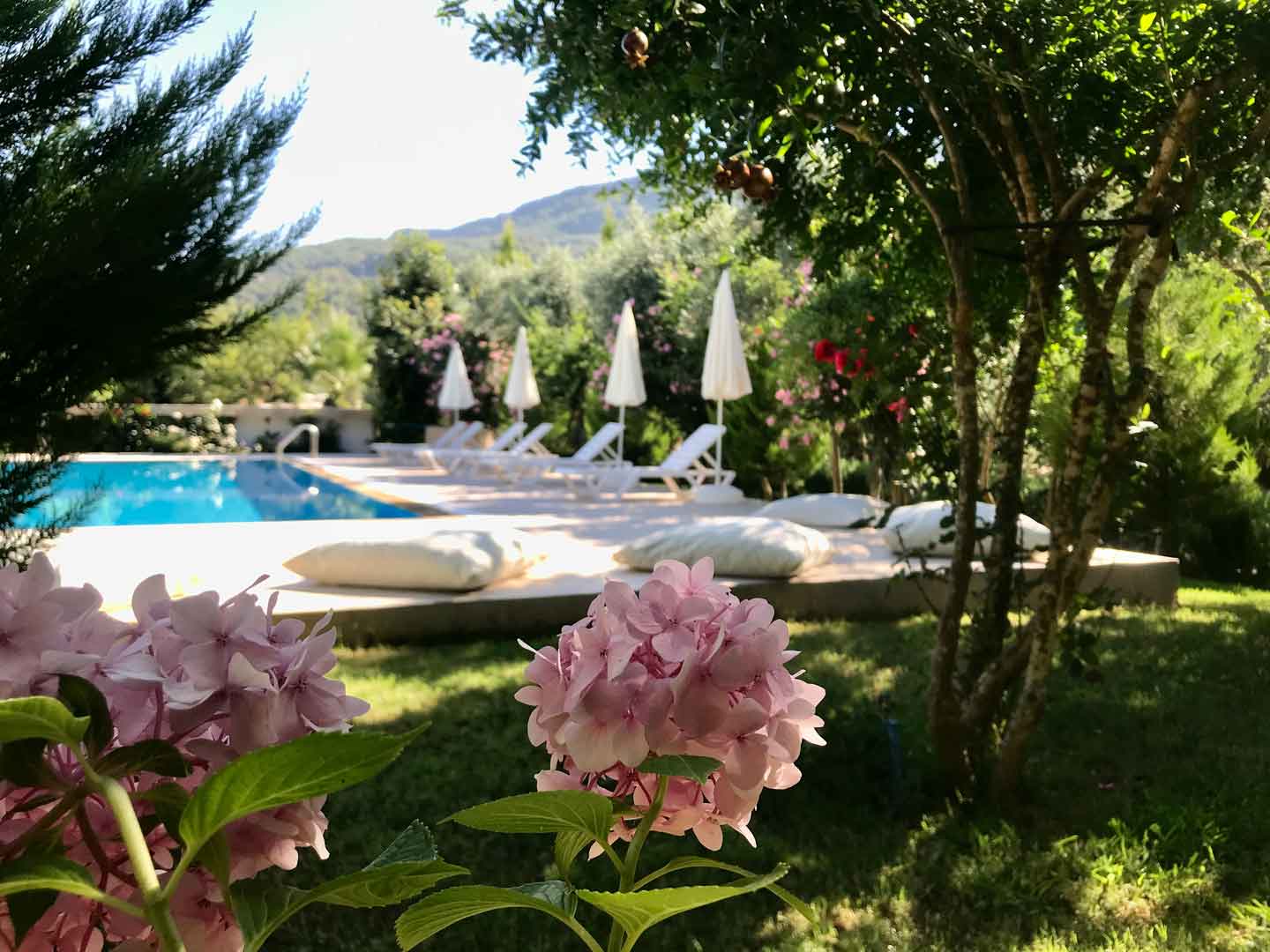 Olympos Olive Garden Pansiyon, Butik Hotel