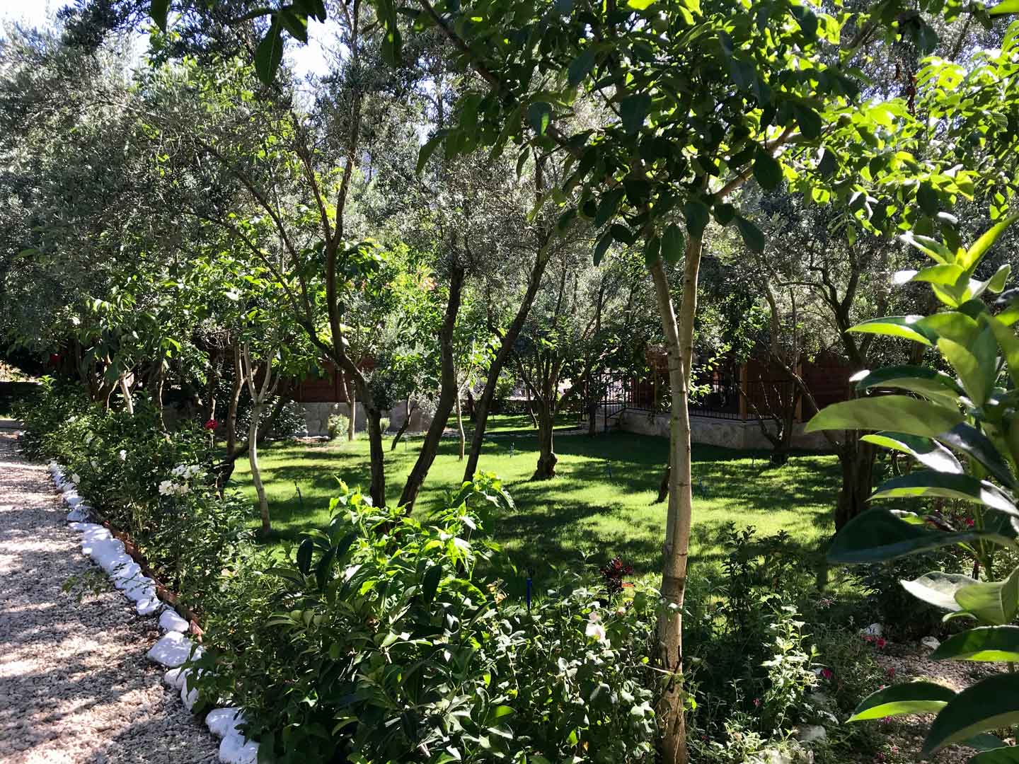 Olympos Olive Garden Pansiyon, Butik Hotel