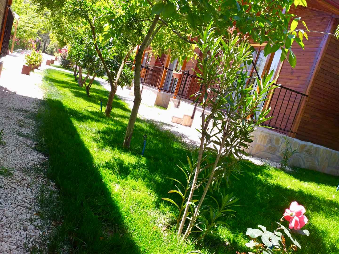 Olympos Olive Garden Pansiyon, Butik Hotel