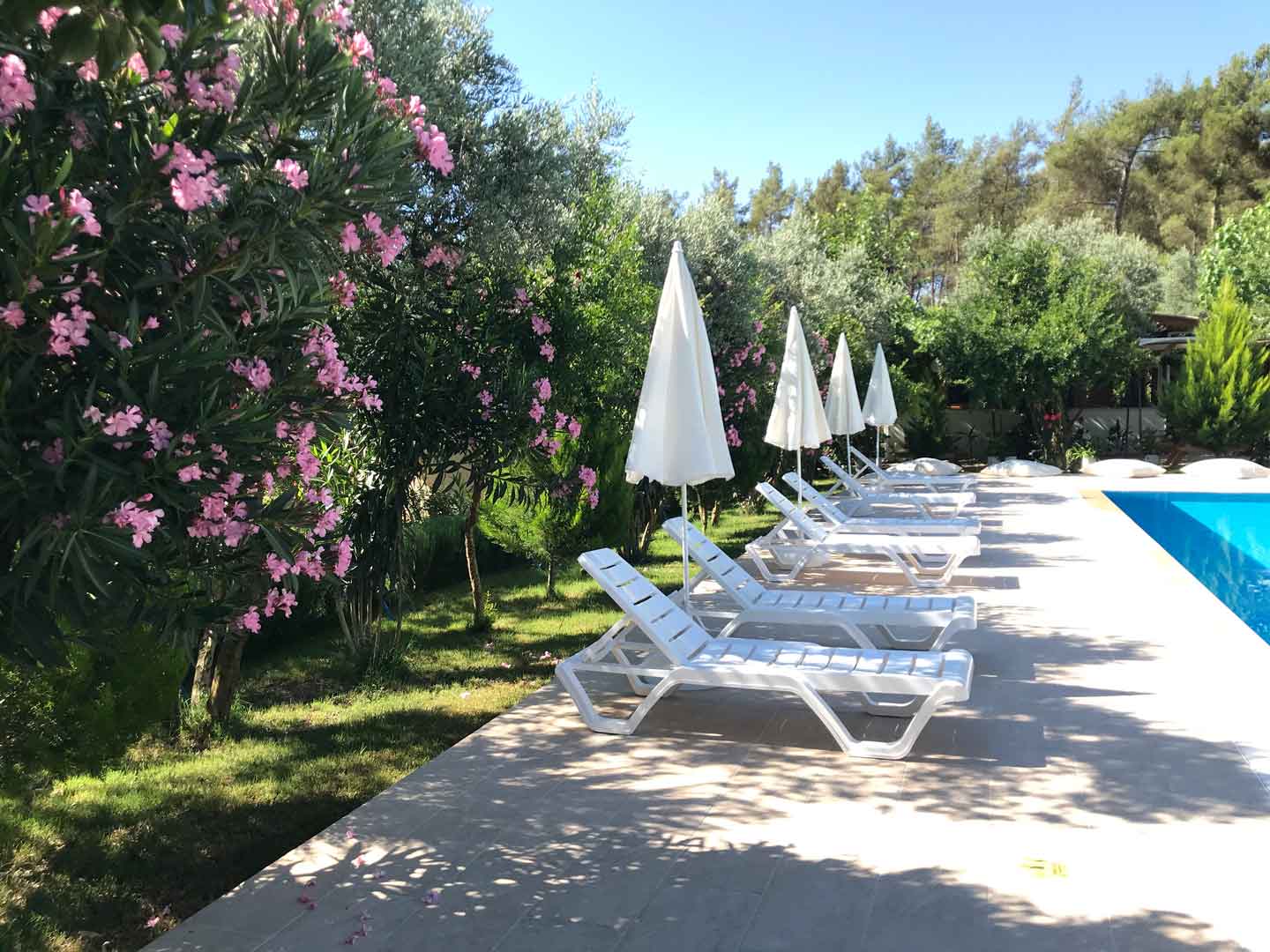 Olympos Olive Garden Pansiyon, Butik Hotel